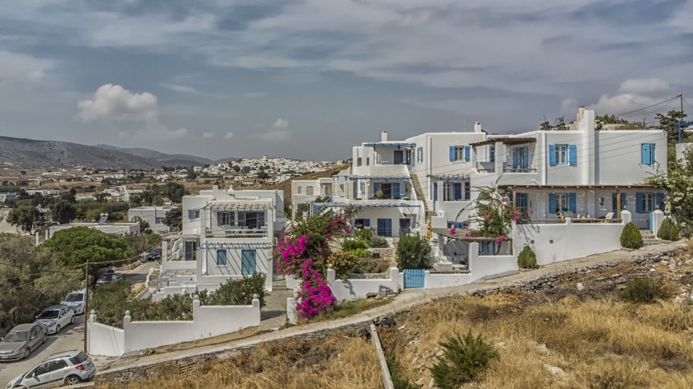 Cleopatra Homes 4/50
