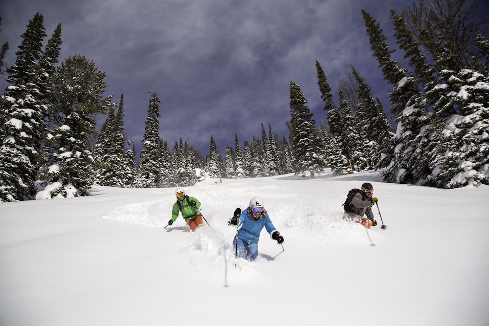 Teton Mountain Lodge and Spa A Noble House Resort 41/67