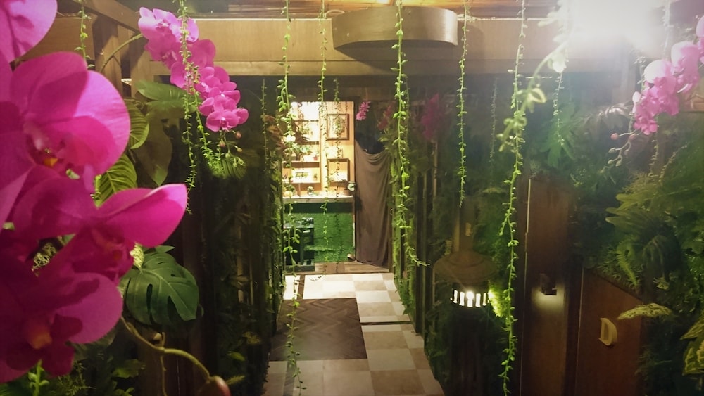 Lohas Villa - Hostel 43/44