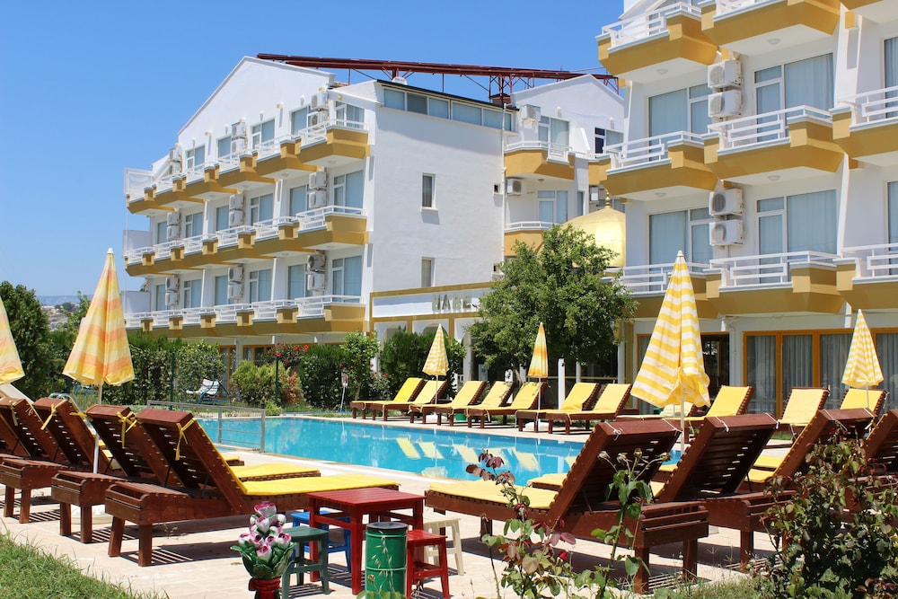 Hare Hotel 2/47
