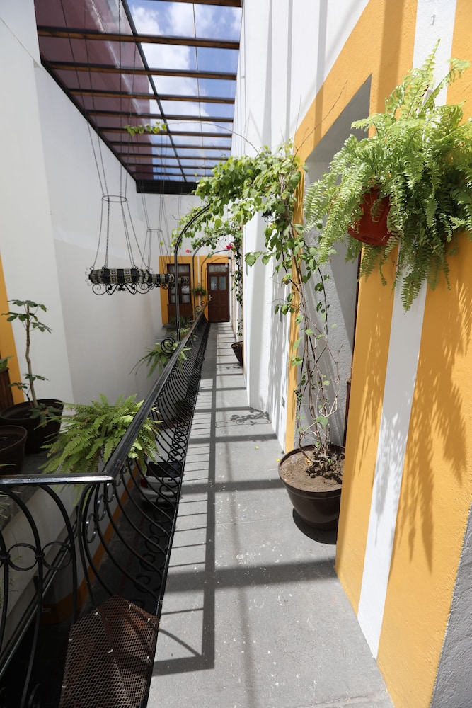 Hotel Senorial 11/56