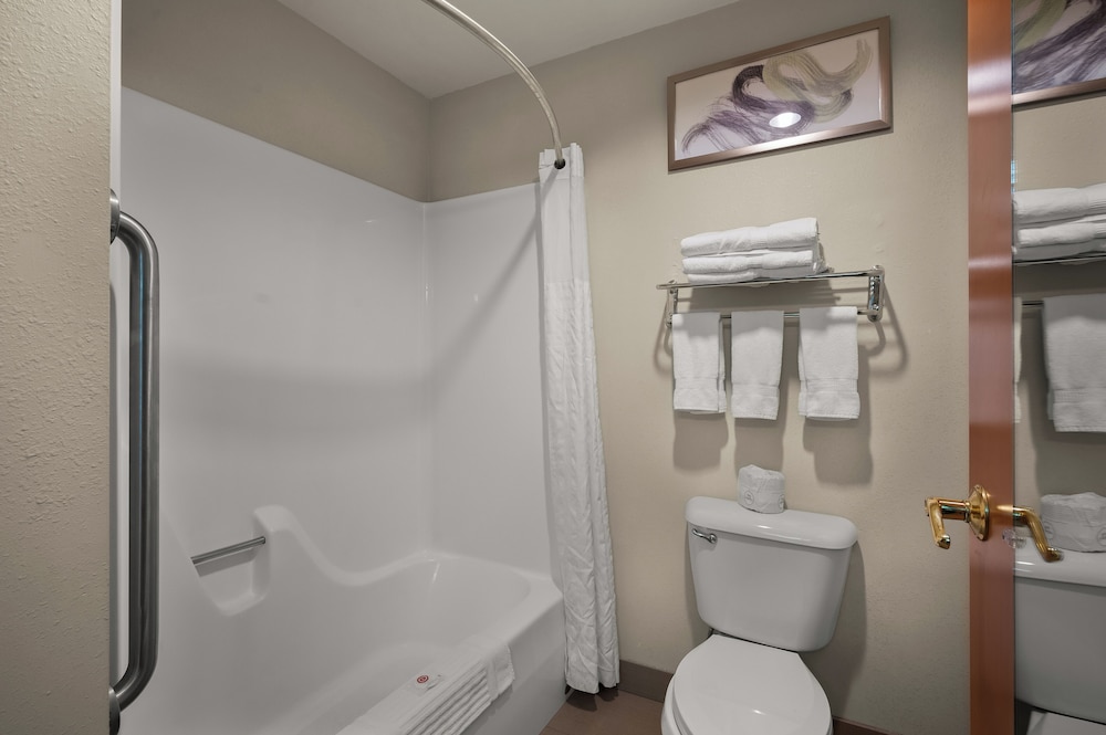 Comfort Inn and Suites Fenton MI 47/50