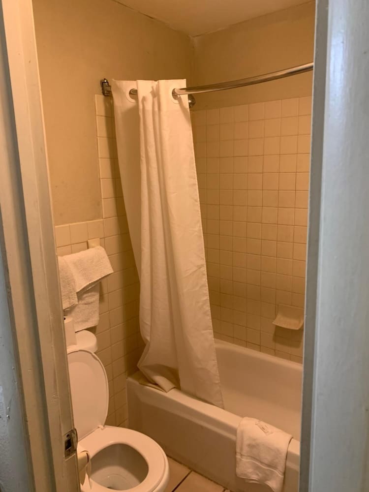 OYO Blue Star Inn 39/65
