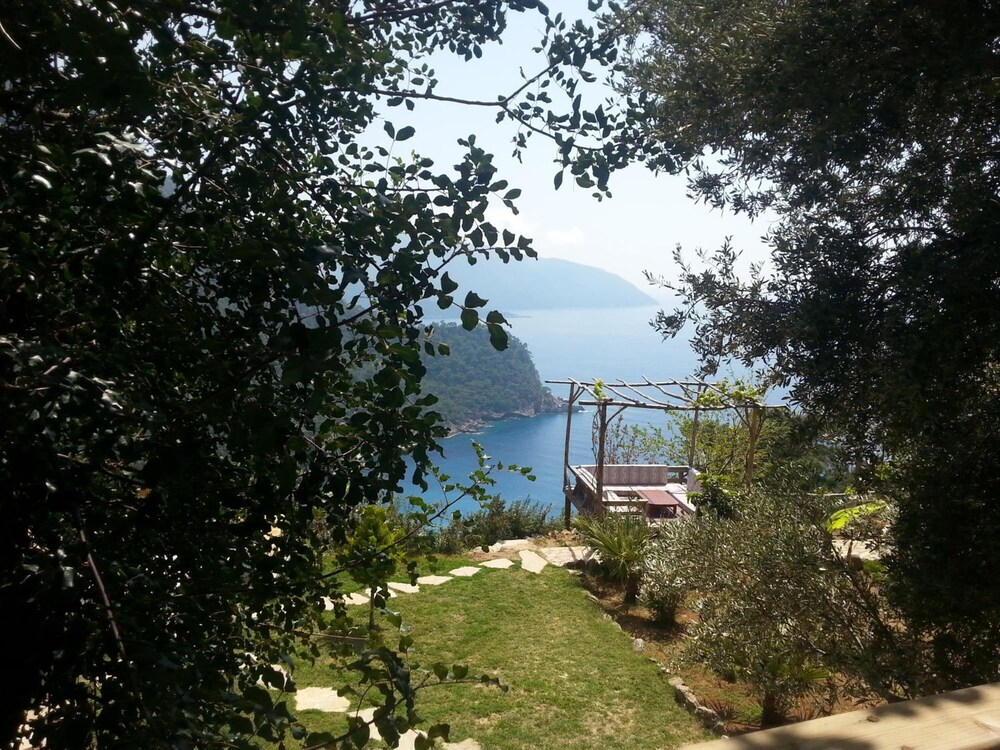 Olive Garden Kabak 31/50