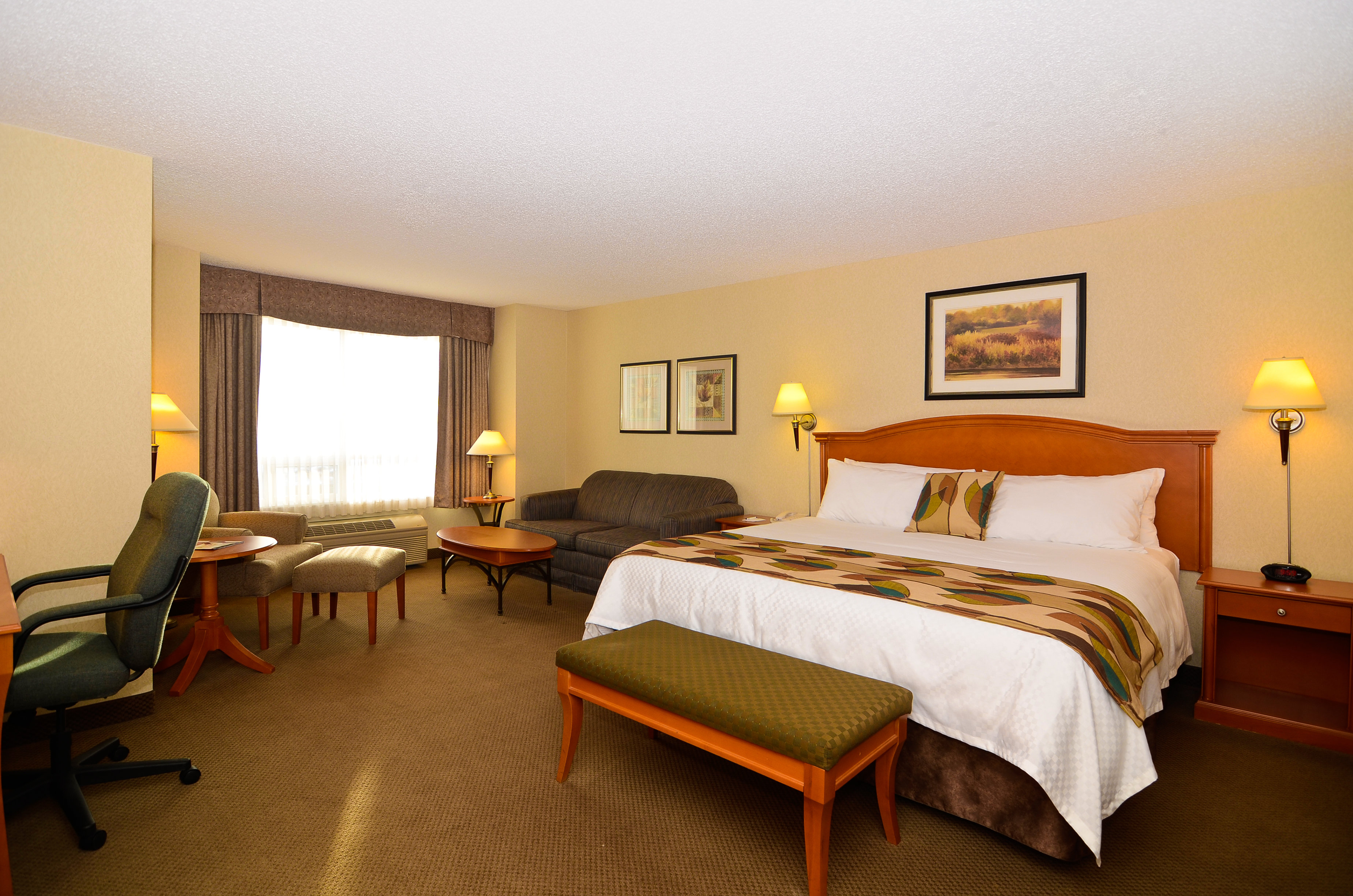 Best Western Plus Calgary Centre Inn 10/50