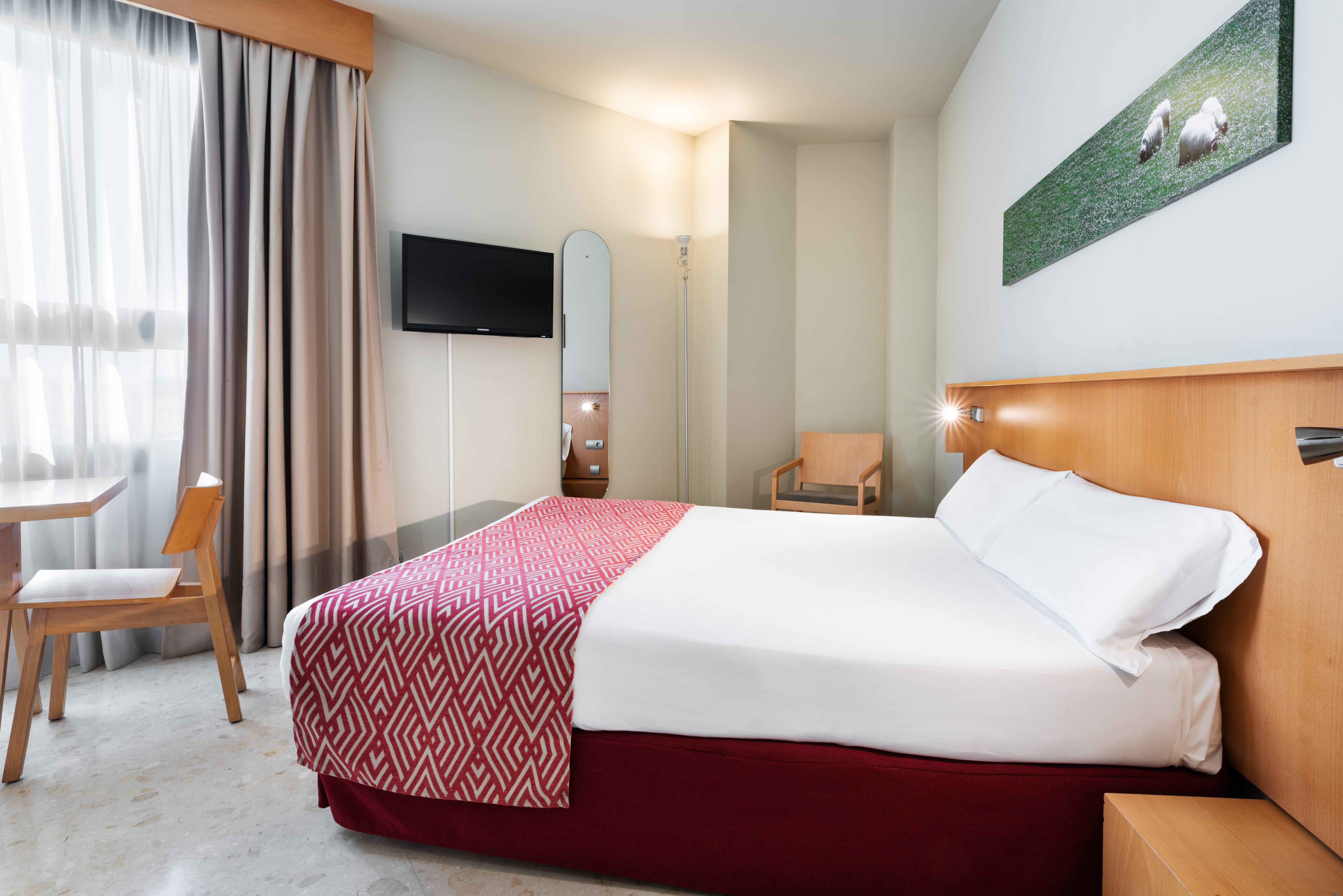 APARTAHOTEL EXE CAMPUS SAN MAMES 15/47