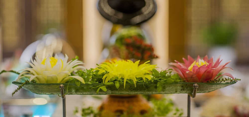 Muong Thanh Luxury Nhat Le Hotel 1/62
