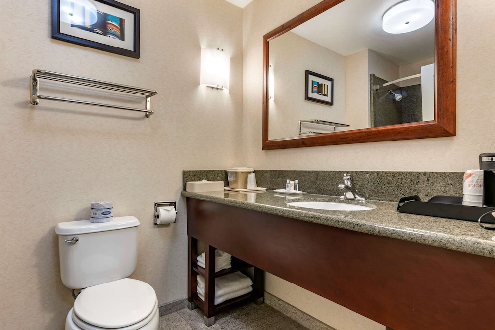 Comfort Suites Fernley 13/34