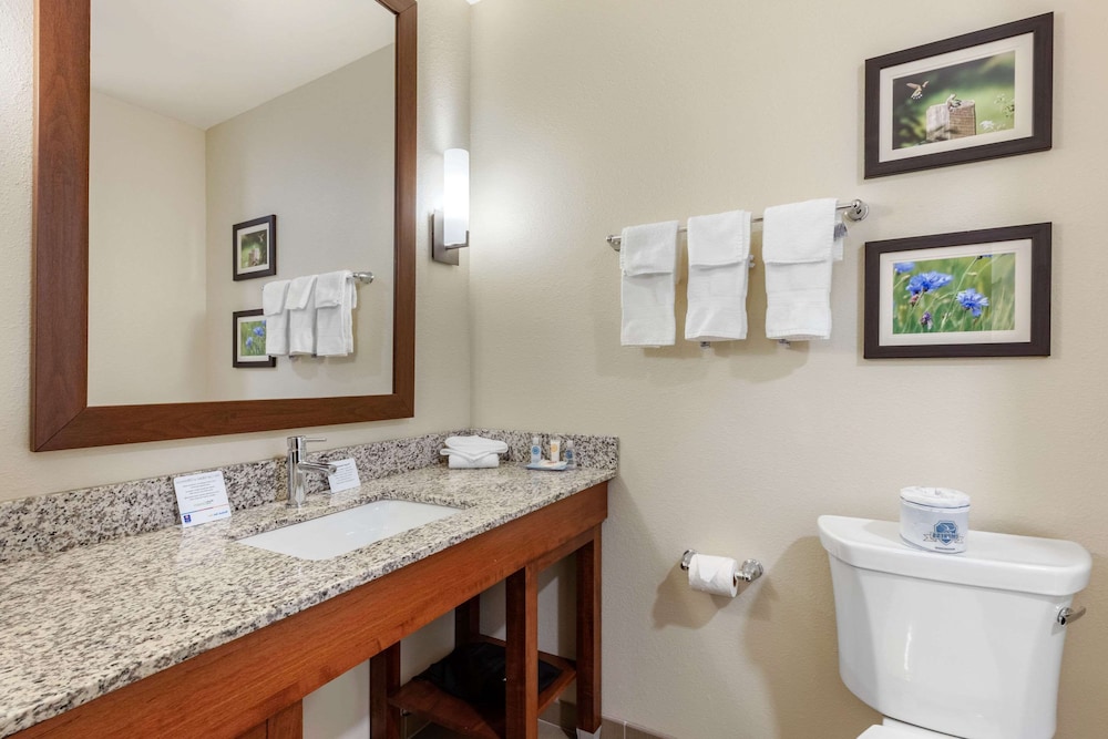 Comfort Inn White House, TN 17/35