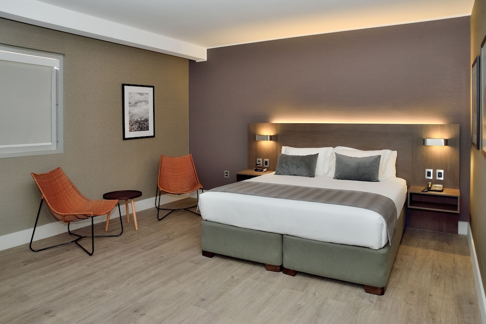 جناح استوديو بسرير كينج، Radisson Hotel Curico 2/8