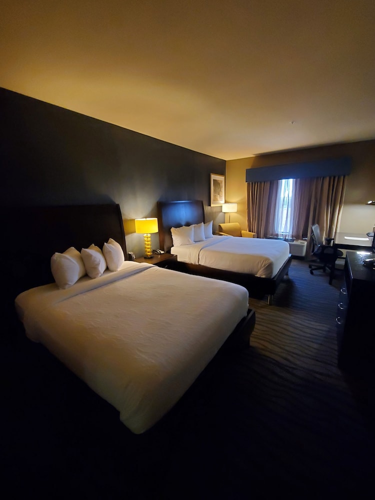 Hilton Garden Inn Fort Worth Alliance Airport 24/59