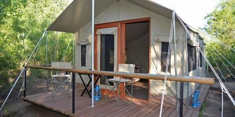 Wild Olive Tree Camp photo4