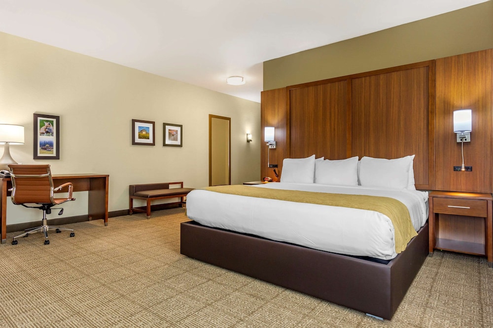Room, King Bed, Accessible