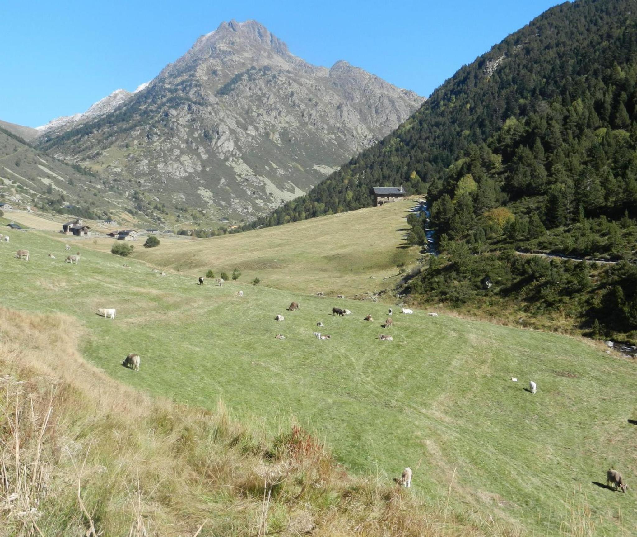 Peretol 43/59