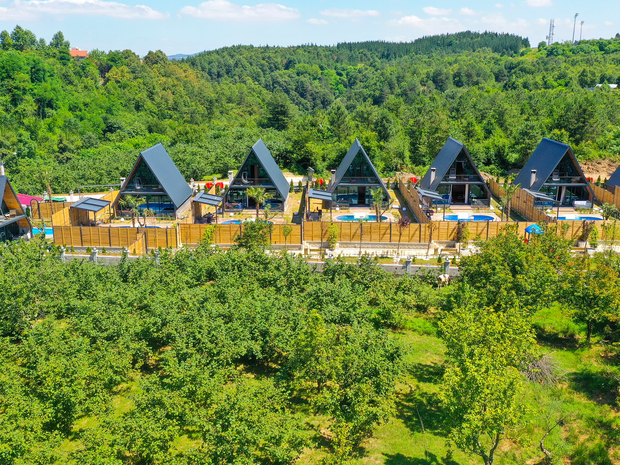 7. Sense Nature Resort 42/45