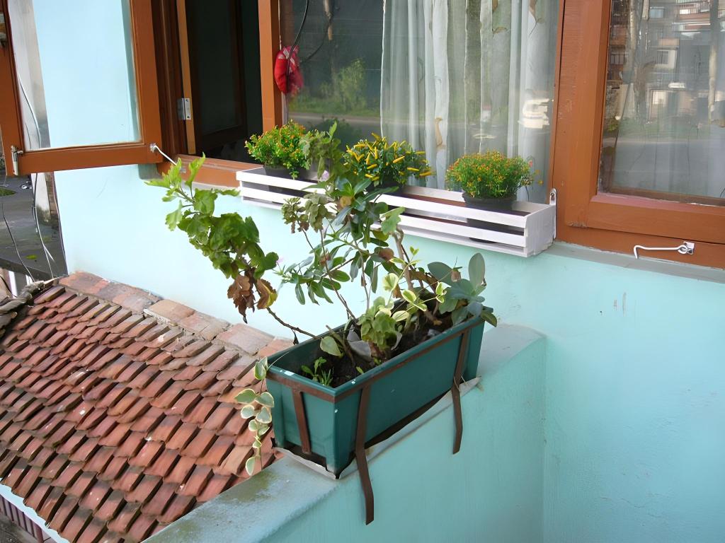 Sanu House Hostel & Homestay 16/49