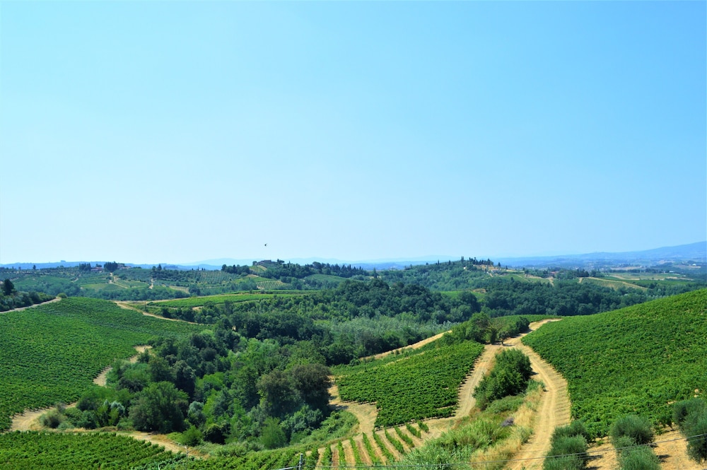 Fattoria il Bacio 47/50