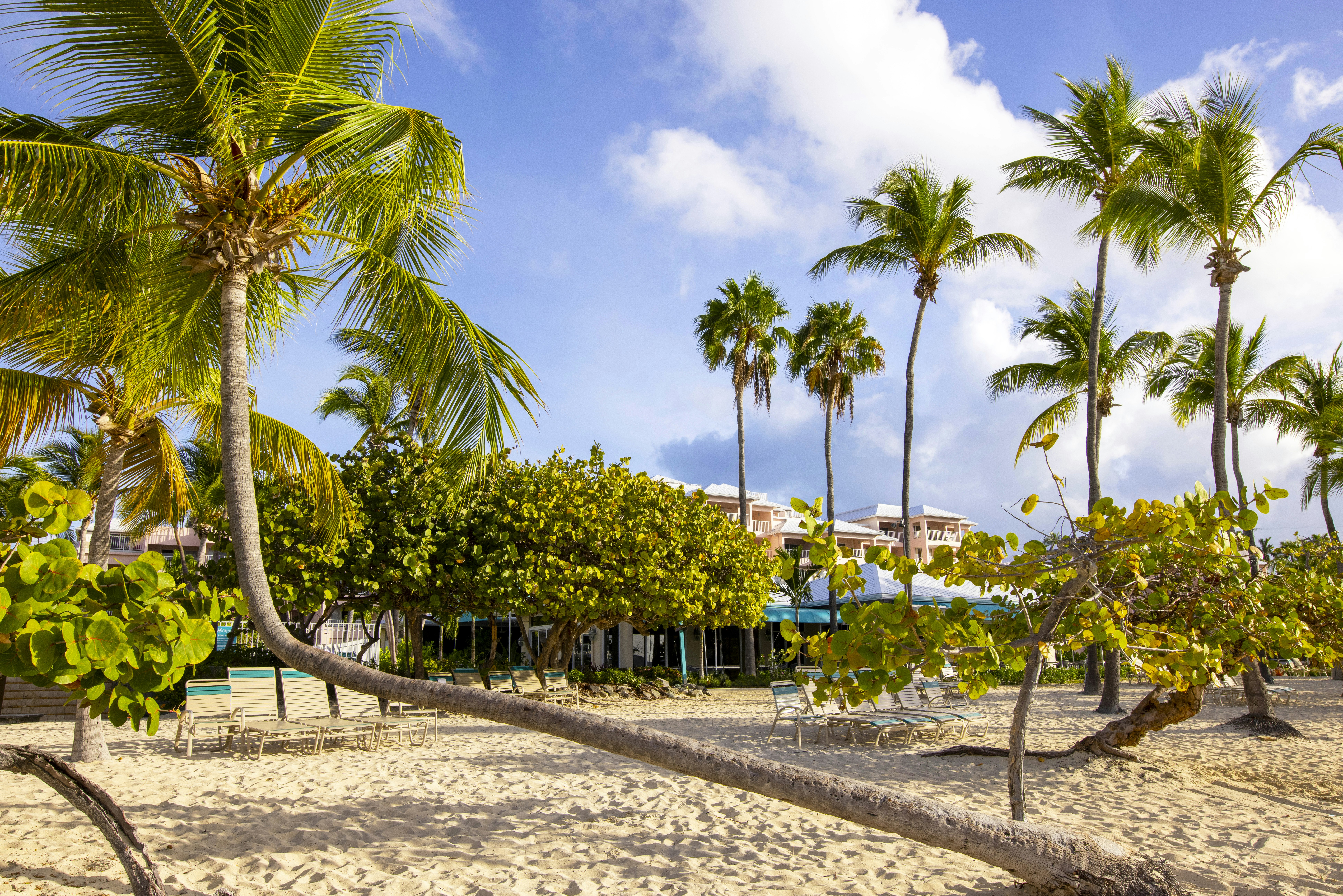 Elysian Beach Resort 46/82