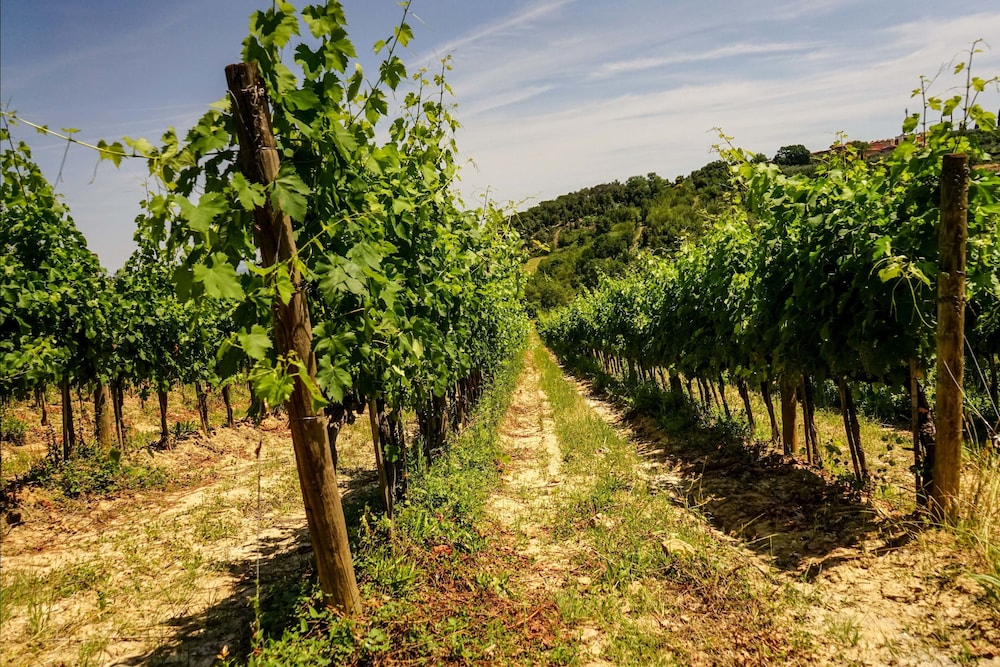 Tenuta Sant'ilario 45/48