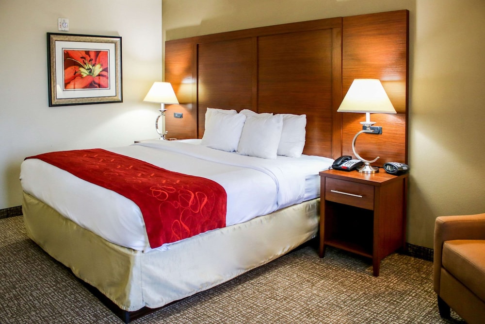 Comfort Suites At Virginia Center Commons 9/39