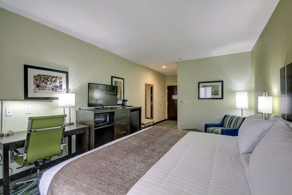 Holiday Inn Express And Suites Carrizo Springs 15/40