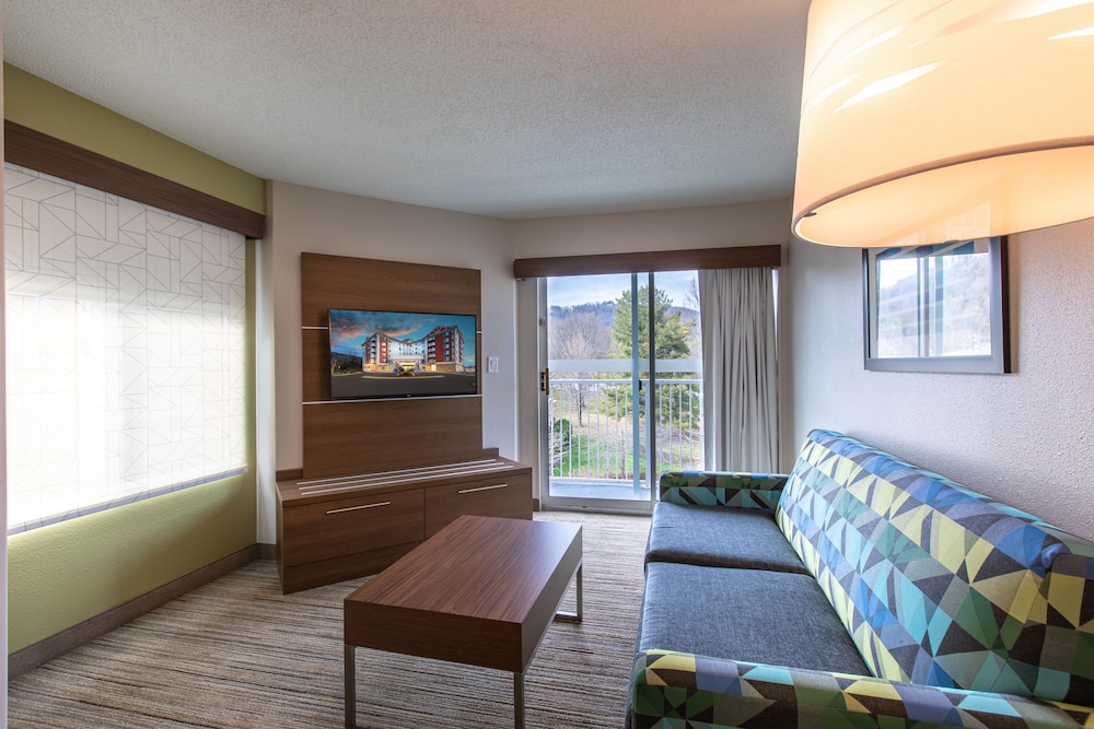 Holiday Inn Express and Suites Asheville Downtown 32/50