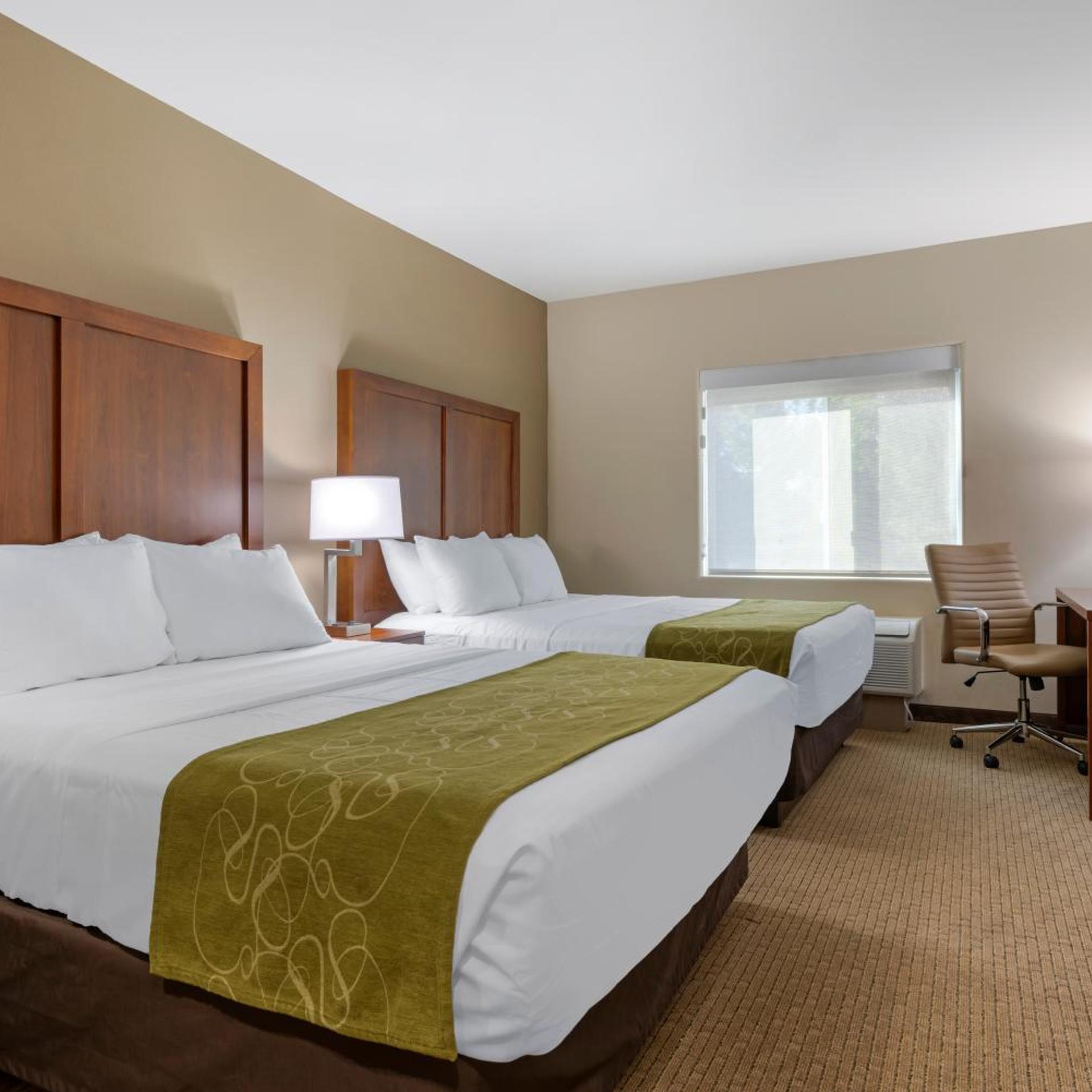 Room, Queen Bed, Working Area