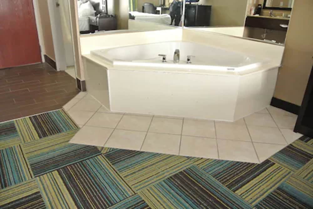 Quality Inn & Suites Arnold St Louis 19/29