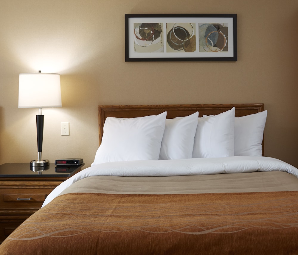 Comfort Inn Rimouski 17/38