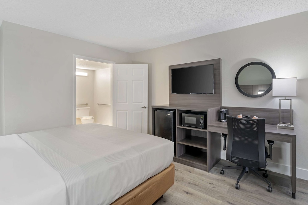 SUITE, KING BED