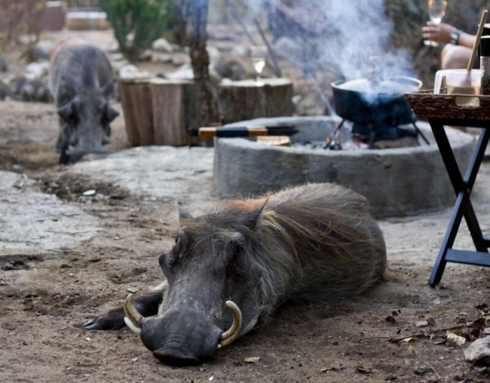 Marloth Kruger Accommodation 25/50