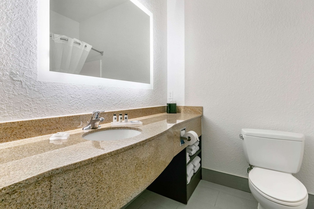 غرفة قياسية بسرير كينج مع أريكة، Clarion Pointe Columbus-Bradley Park 3/3