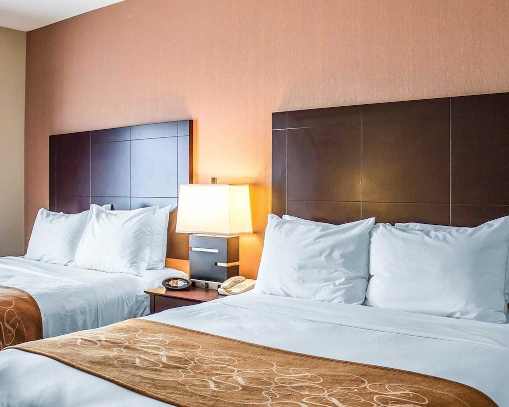 Comfort Suites Perrysburg - Toledo South 19/49