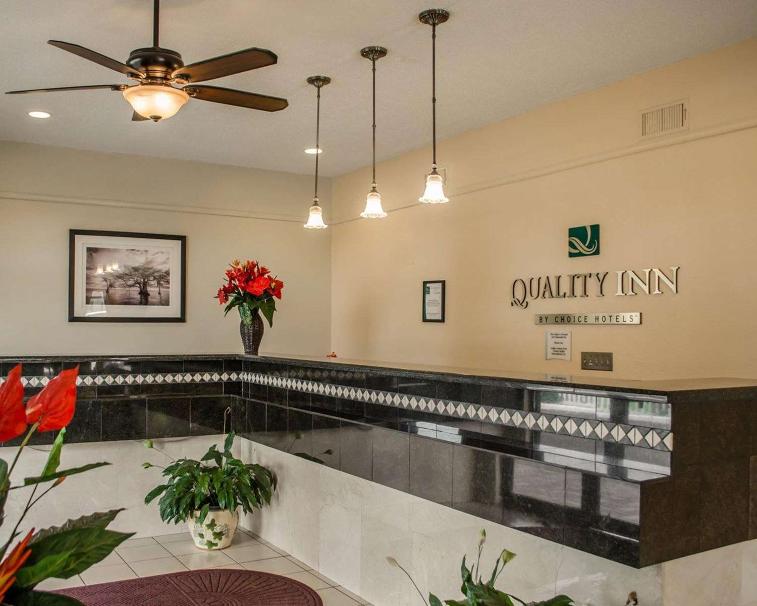 Quality Inn near Manatee Springs State Park 5/12