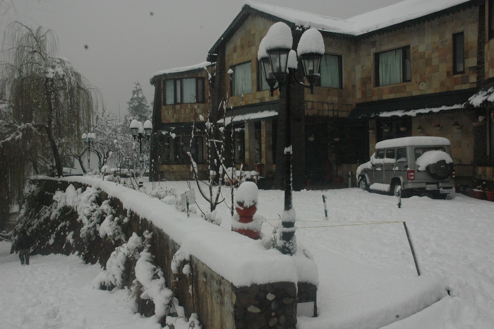 Shervani Hilltop 23/50