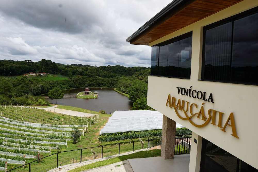 Hotel Boutique Vinicola Araucaria by Slaviero Hoteis 1/50
