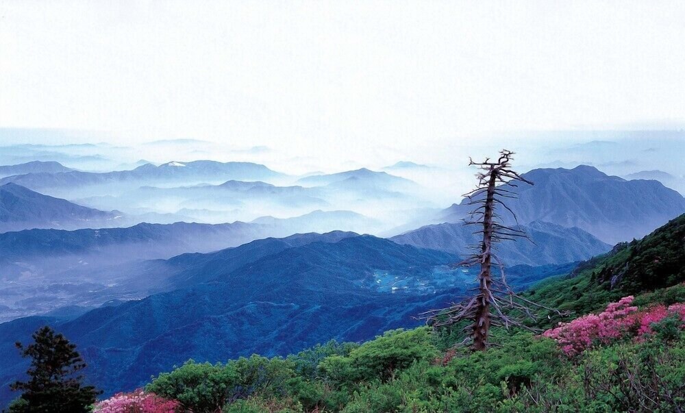Muju Cherish Pension 47/50