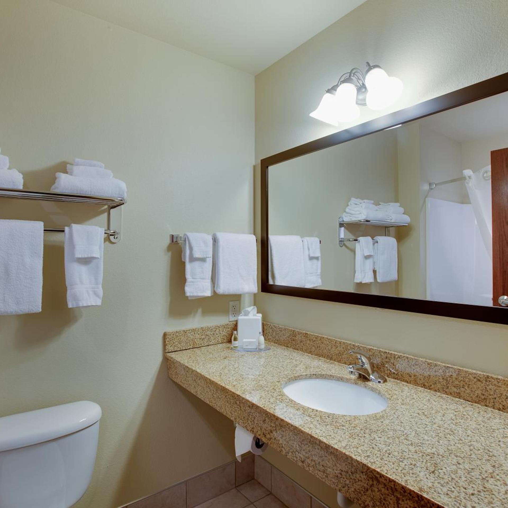 غرفة بسرير كينج، Cobblestone Inn & Suites Durand 6/8
