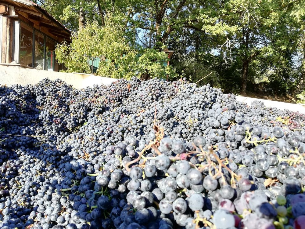 Agriturismo Crocino in Chianti 34/47