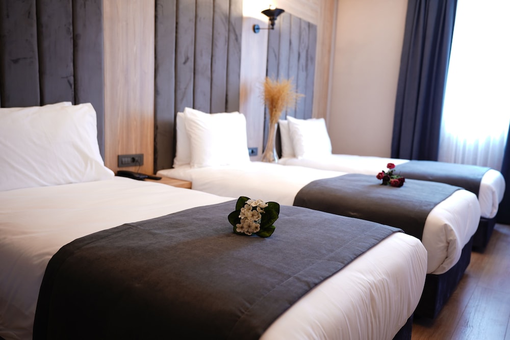 Mineo Hotel Taksim 23/40