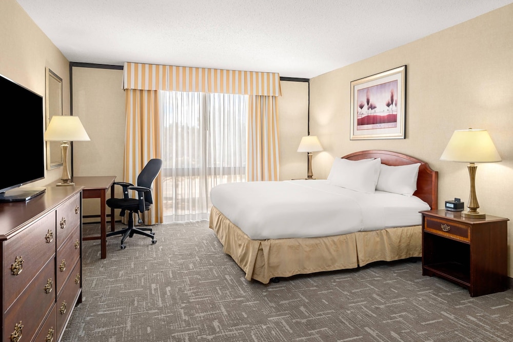 ROOM, SINGLE, KING BED, SOFA, ACCESSIBLE