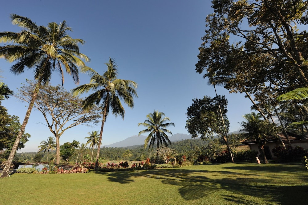 Ijen Resort 44/65