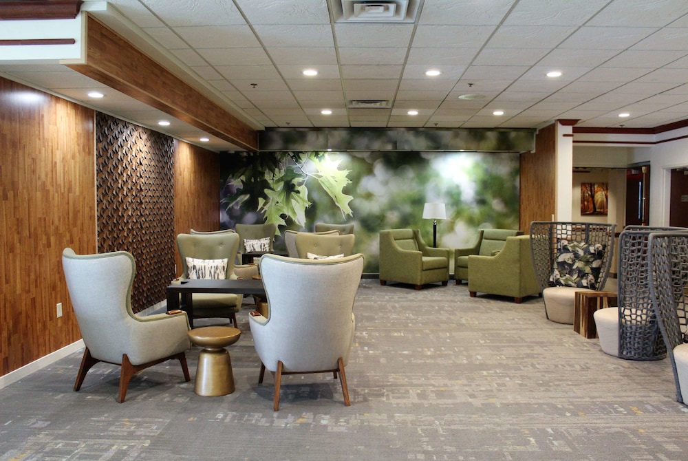 Medallion Inn and Suites 41/46