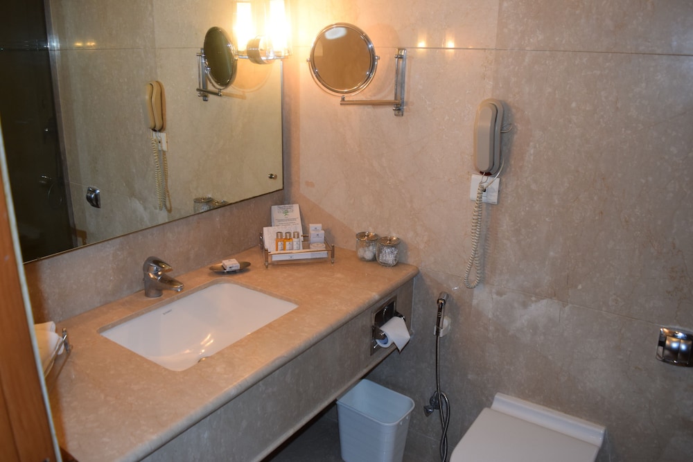 Jaypee Siddharth Hotel 19/47