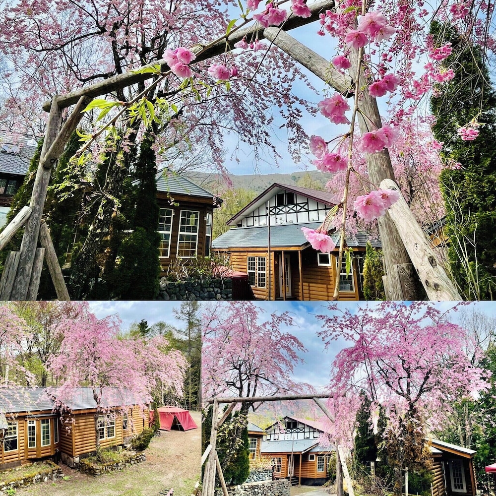 Hakuba Canadian Lodge 5/50