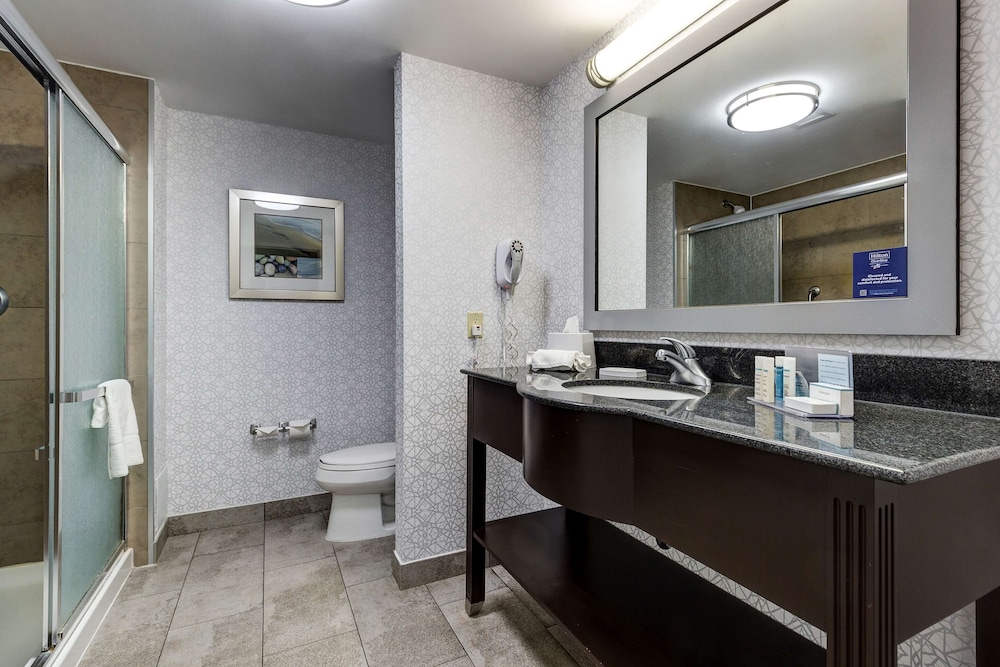 Hampton Inn Suites By Hilton Brantford 23/41