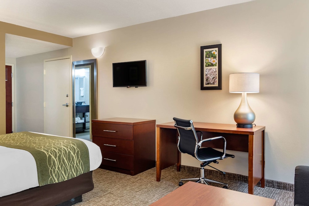 Comfort Inn Douglasville - Atlanta West 18/27