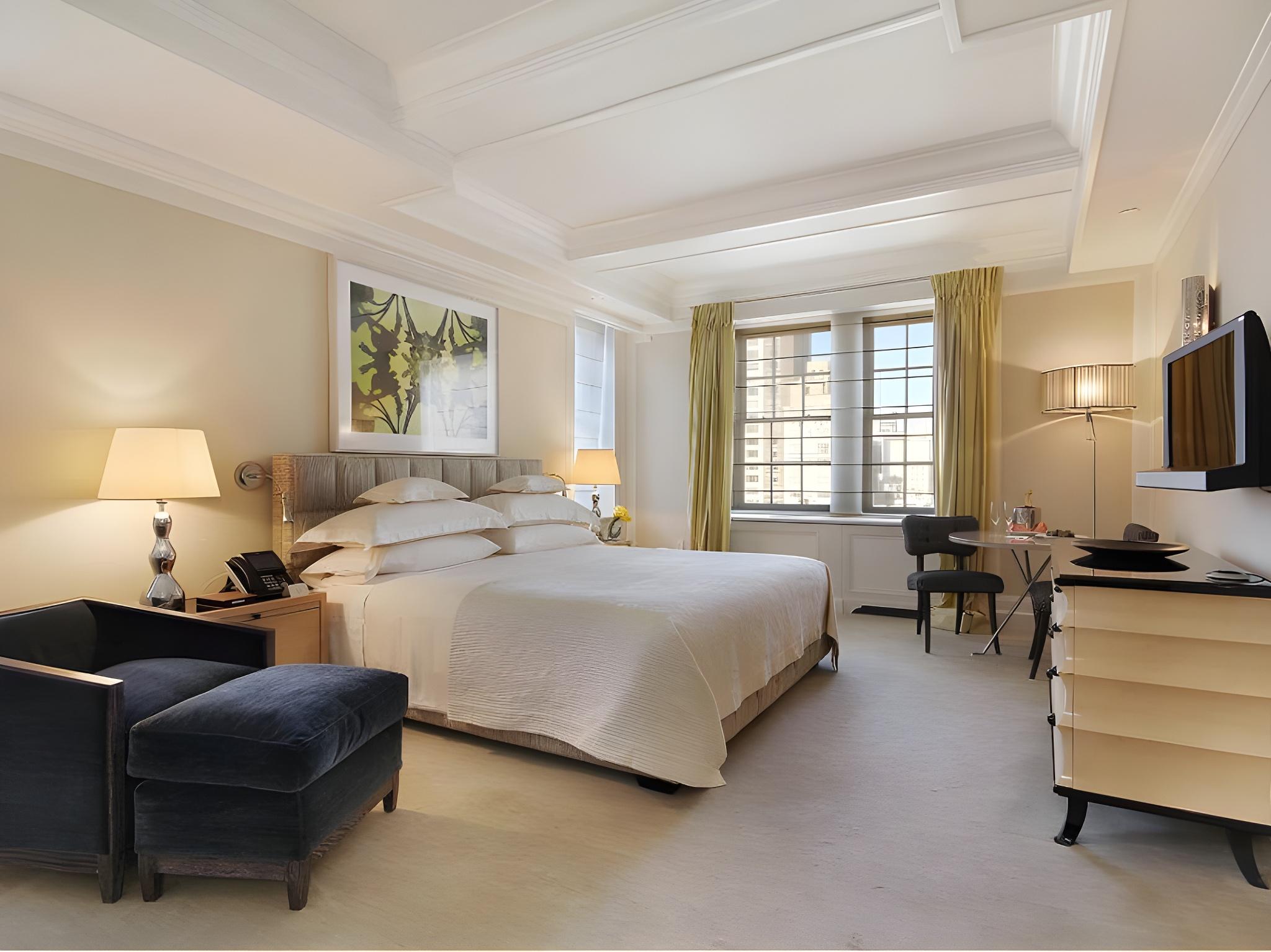 Park, Studio, Suite, King Bed