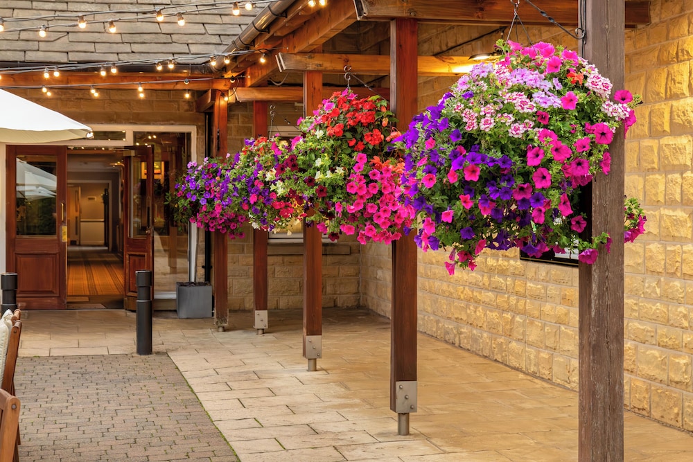 Hollins Hall Hotel, Spa & Golf 7/60
