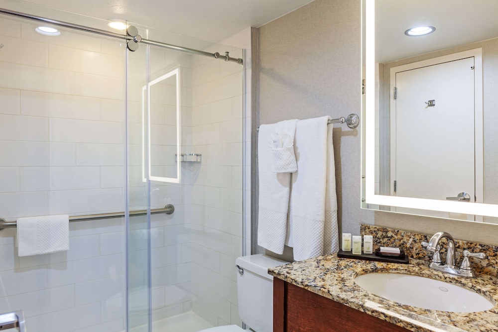 Embassy Suites by Hilton Dallas Market Center 29/72